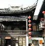 姑苏雄鹿队击败江汉雄鹿队，柔道巡回赛上演裁判判罚引热议！技战术储备厚实(巨鹿路万圣节事件)